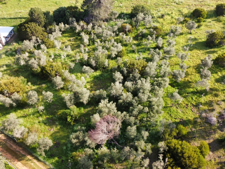 0 Bedroom Property for Sale in Stilbaai Rural Western Cape